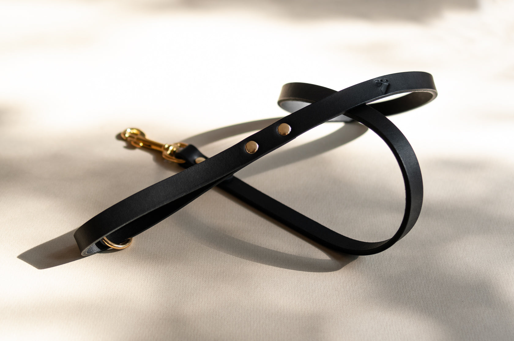 Classic Leather Dog Lead