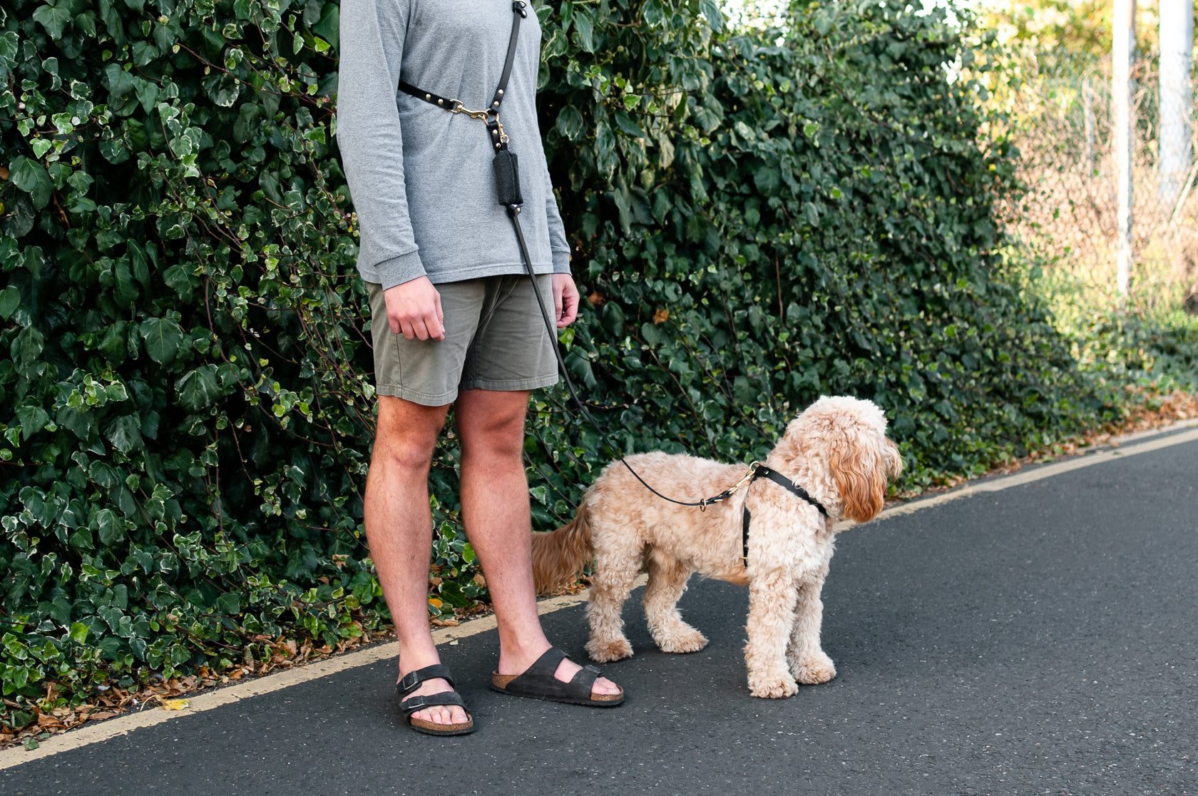 Long Leather Multi Lead for Dogs