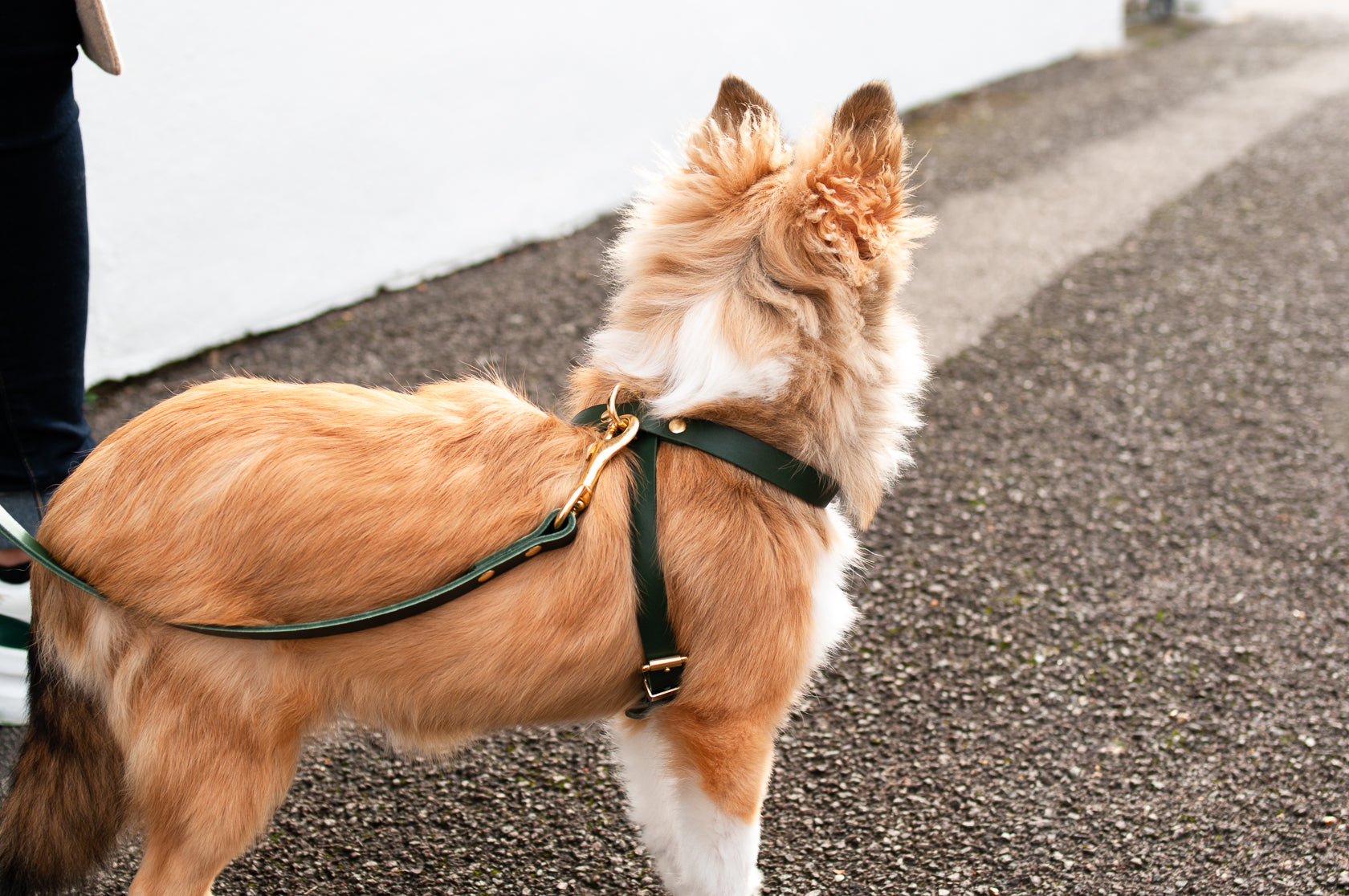 Cross Leather Dog Harness