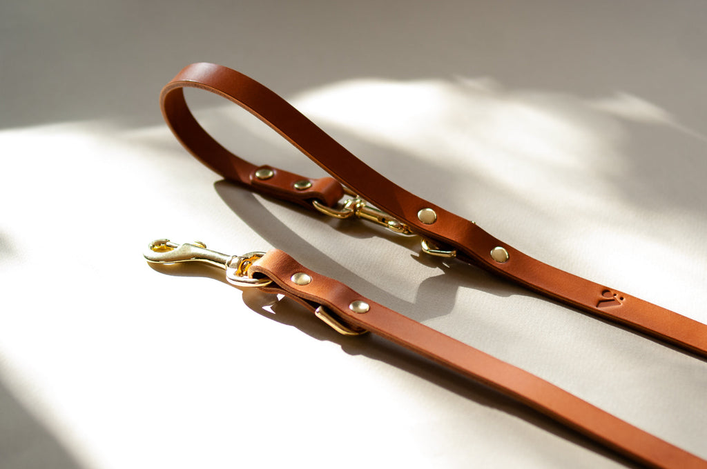 Long Leather Multi Lead for Dogs