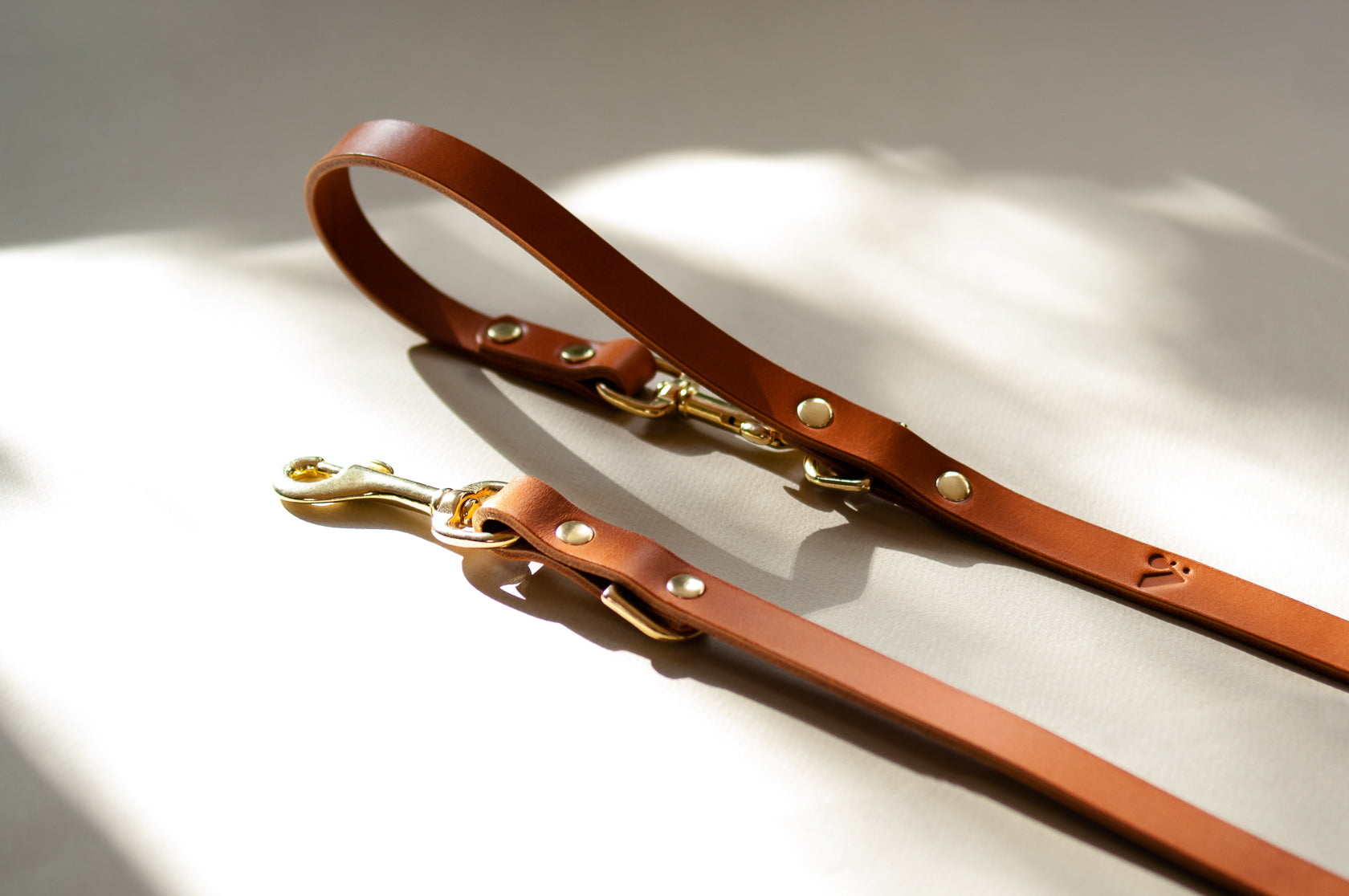 Long Leather Multi Lead for Dogs