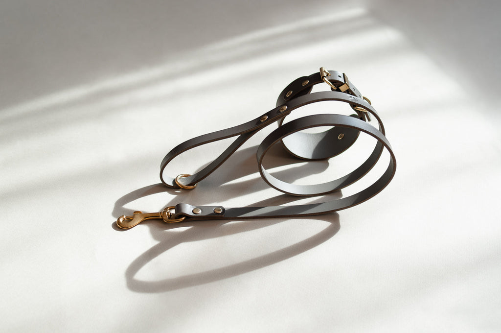 Classic Leather Dog Lead