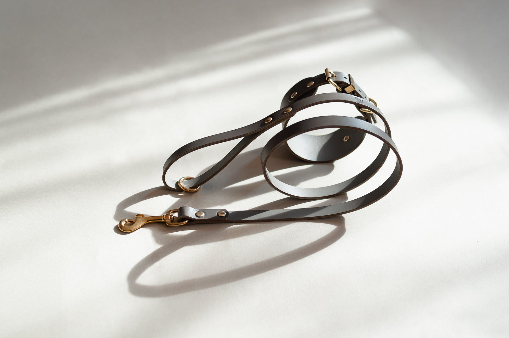 Classic Leather Dog Lead