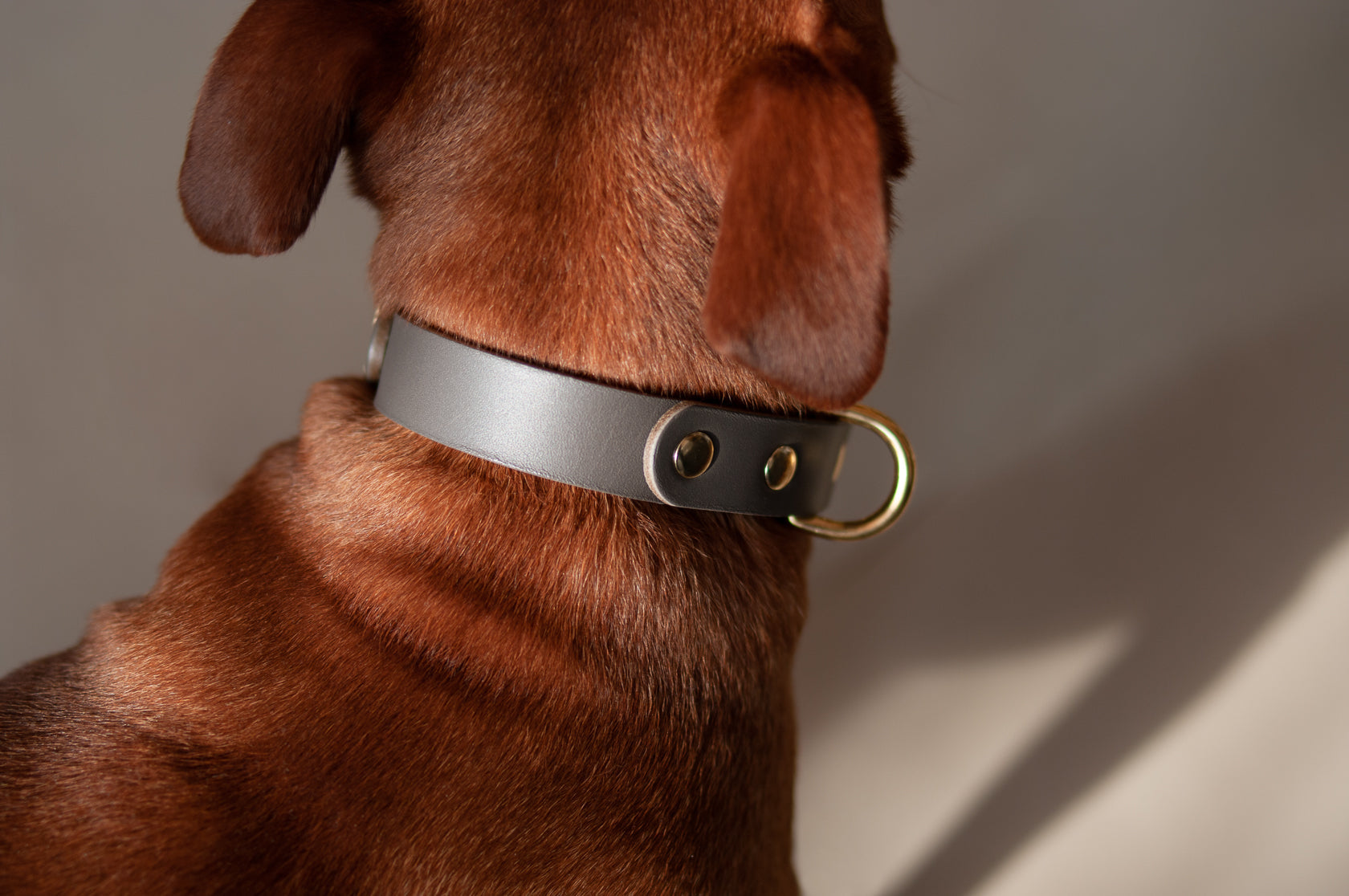 Monotone Leather Collar