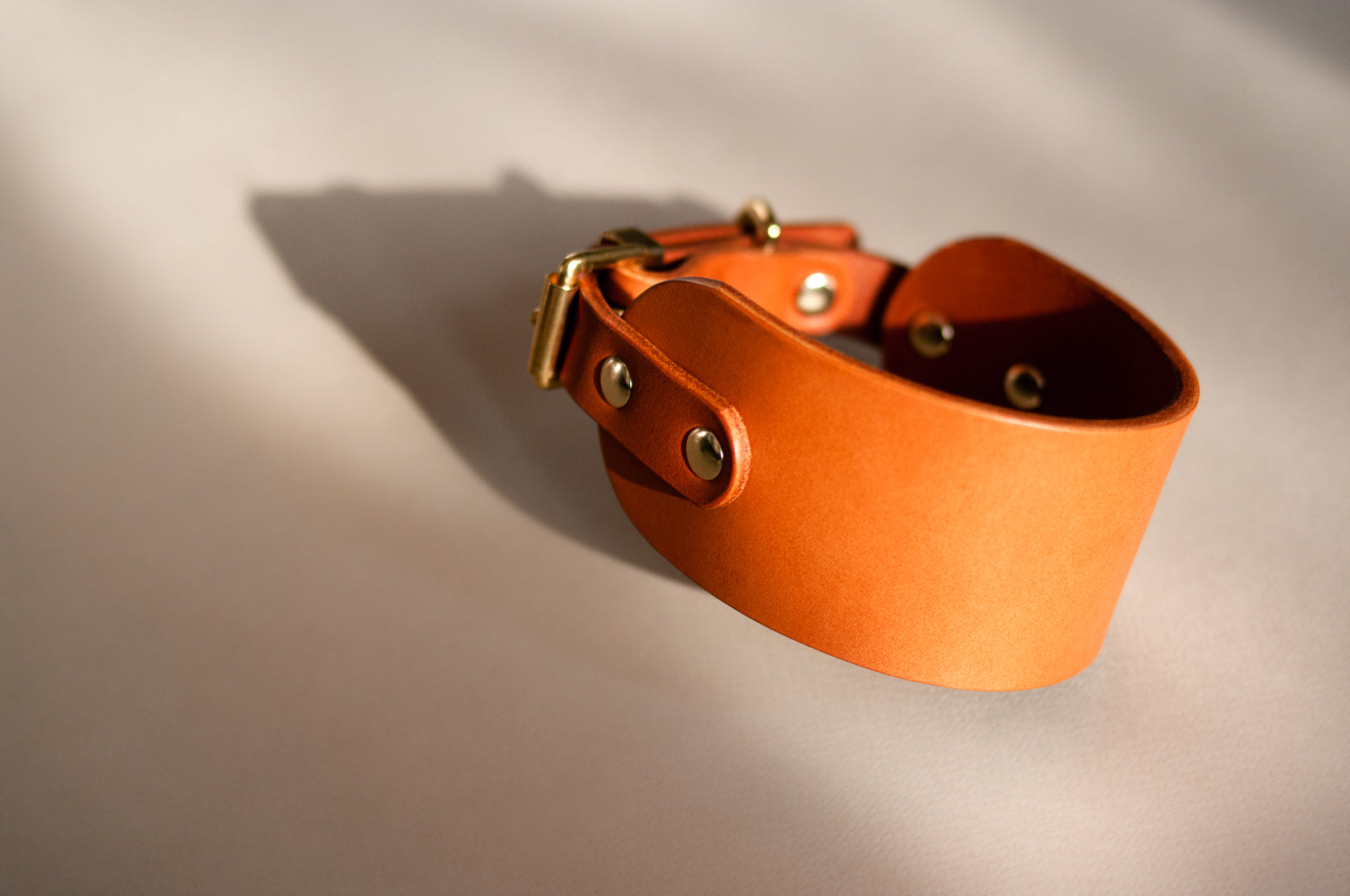 Leather Collar for Sighthounds