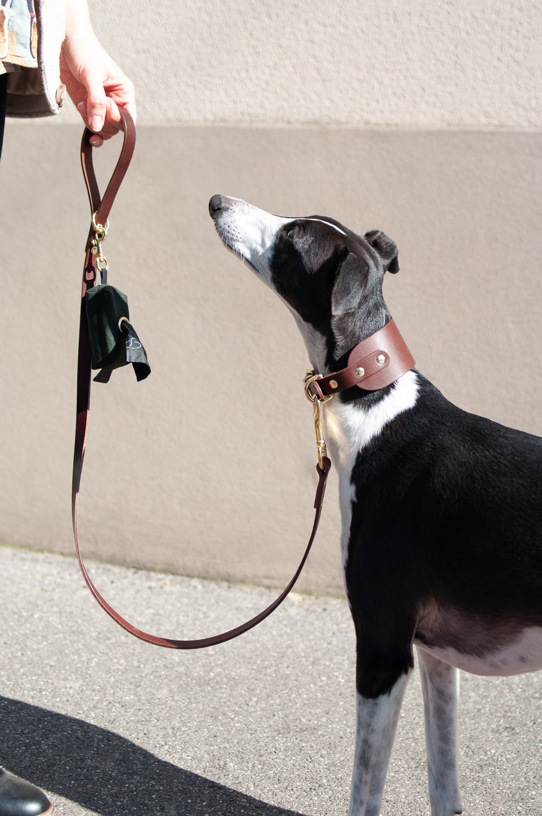 Waste Bag and Treat Holder