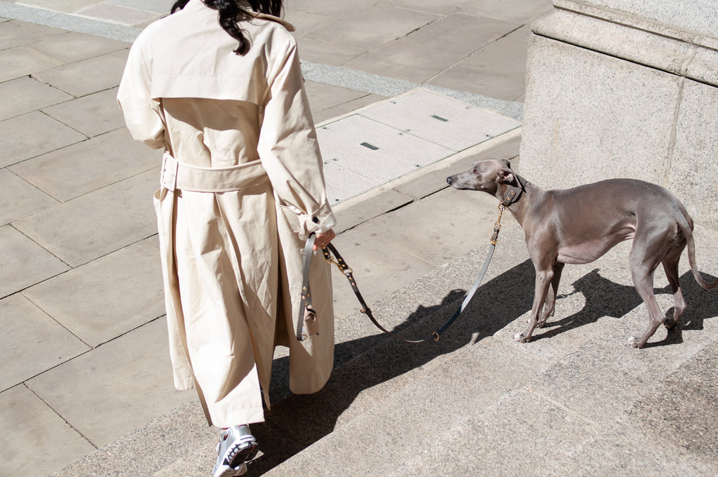 Long Leather Multi Lead for Dogs