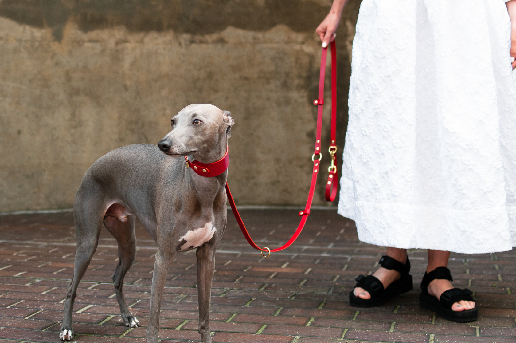 Long Leather Multi Lead for Dogs