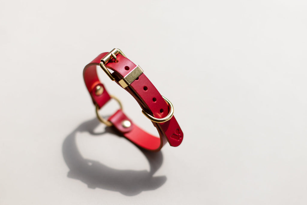 O Ring Leather Collar