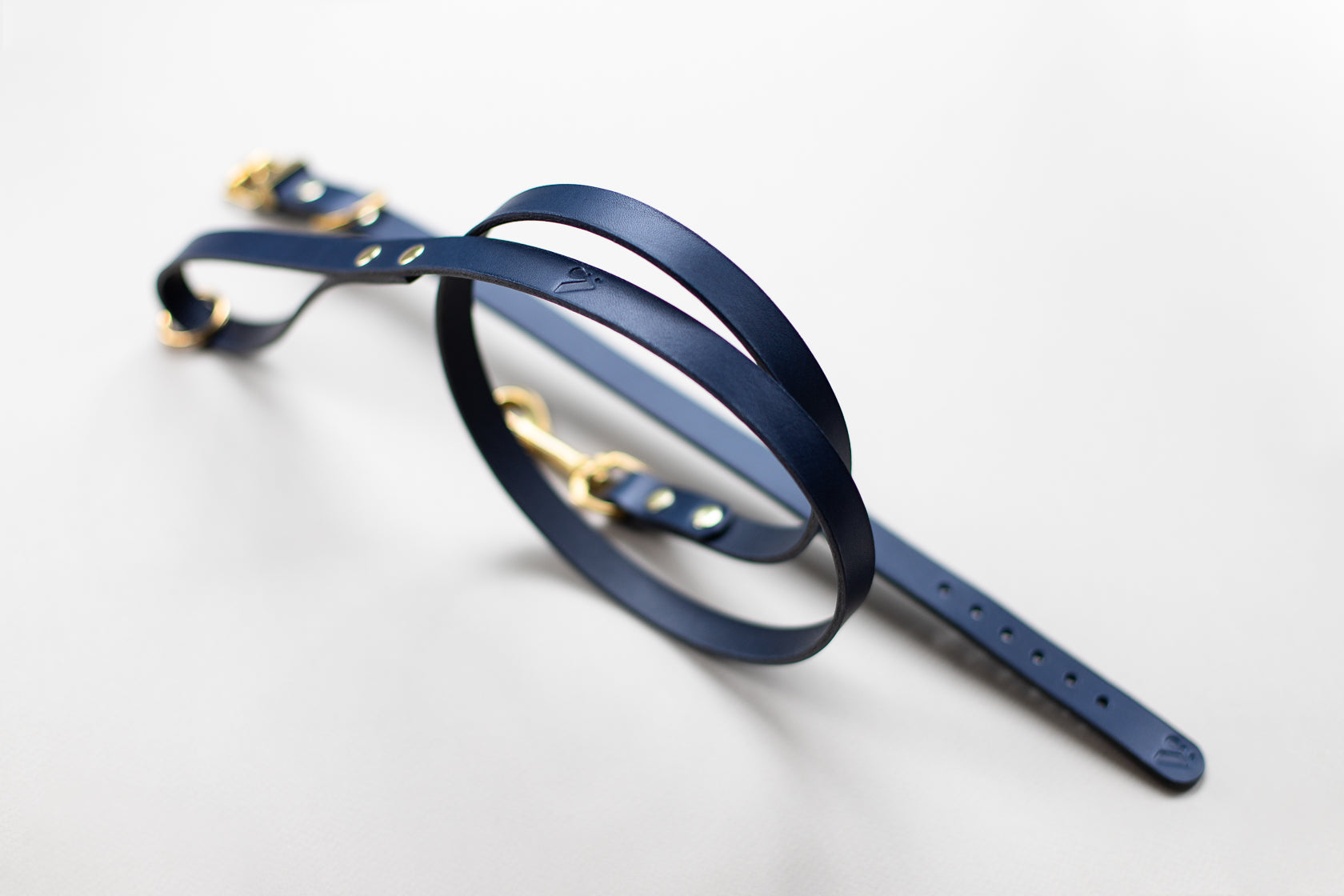 Classic Leather Dog Lead