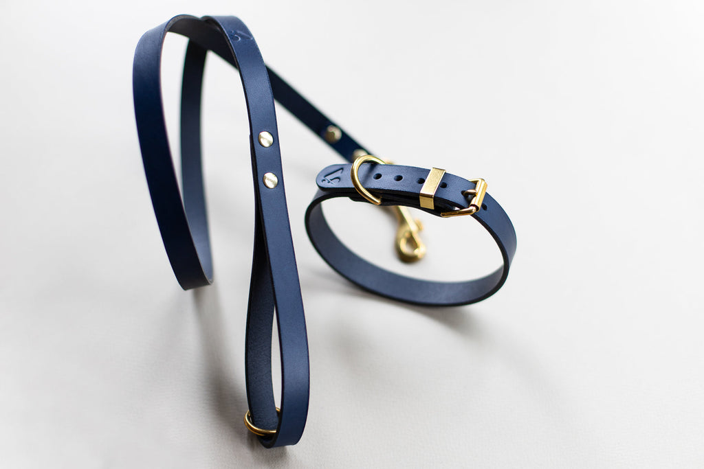 Classic Leather Collar