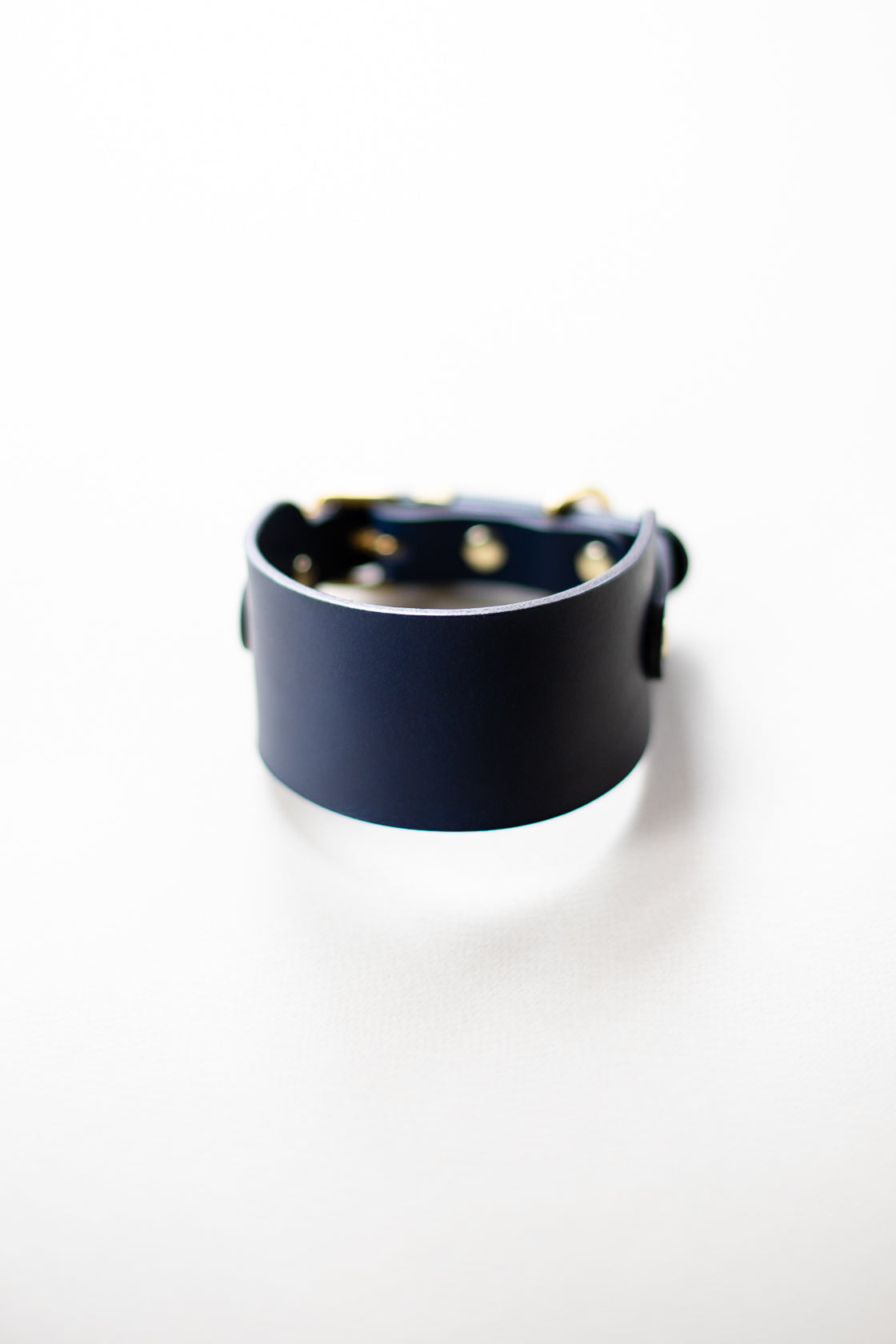 Leather Collar for Sighthounds