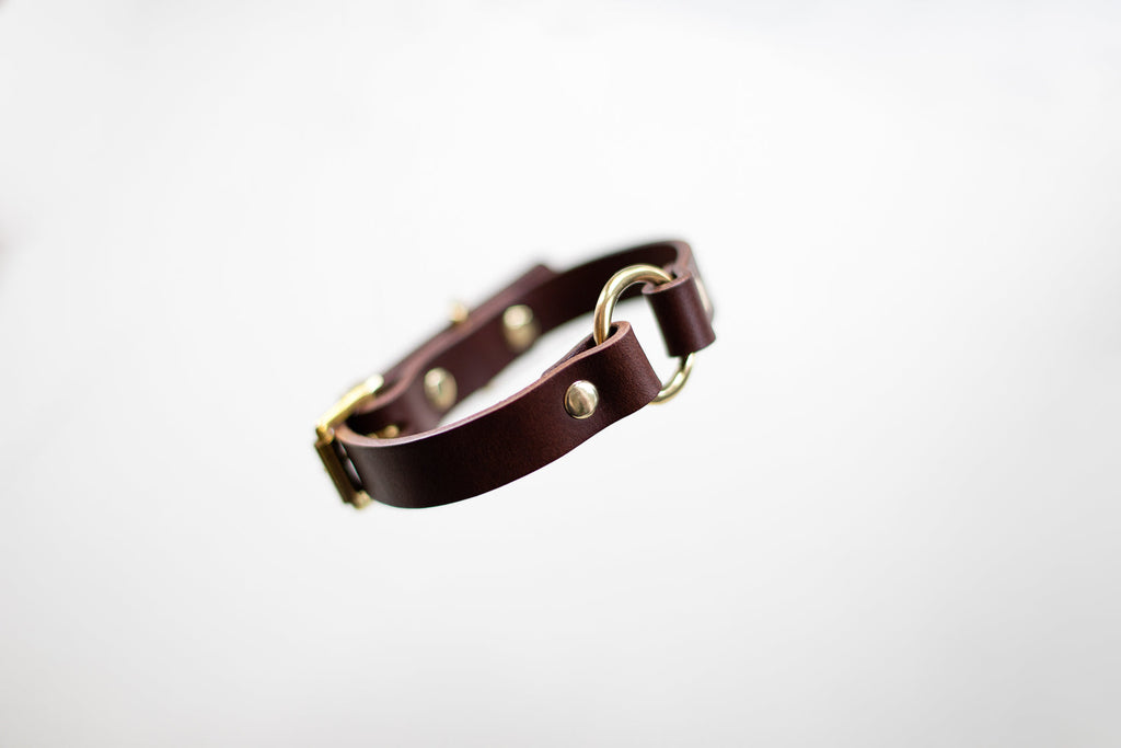 O Ring Leather Collar