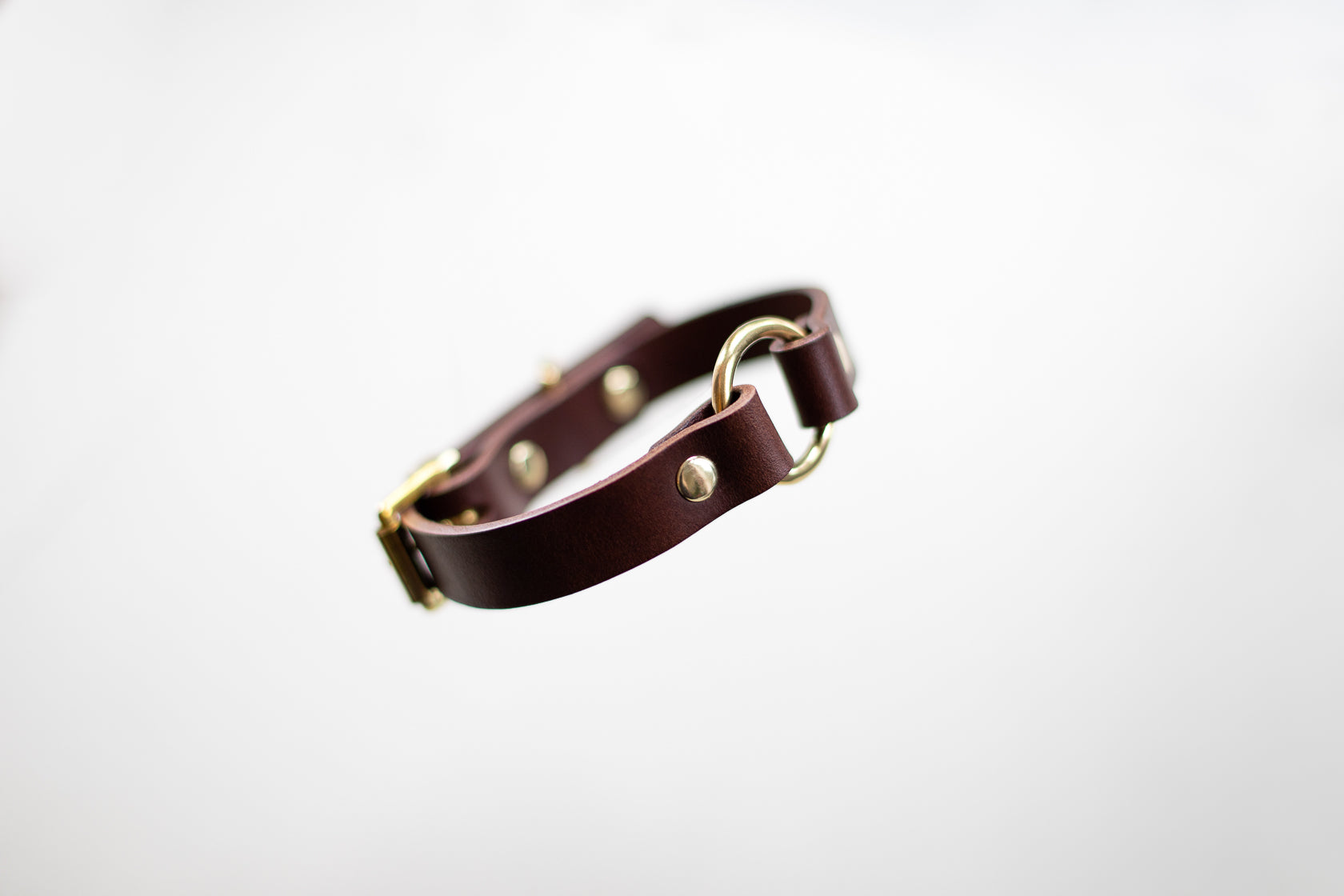O Ring Leather Collar
