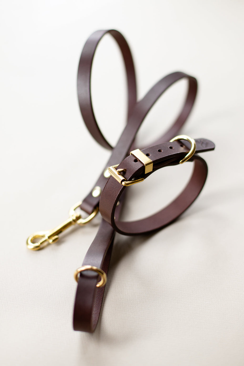 Classic Leather Collar