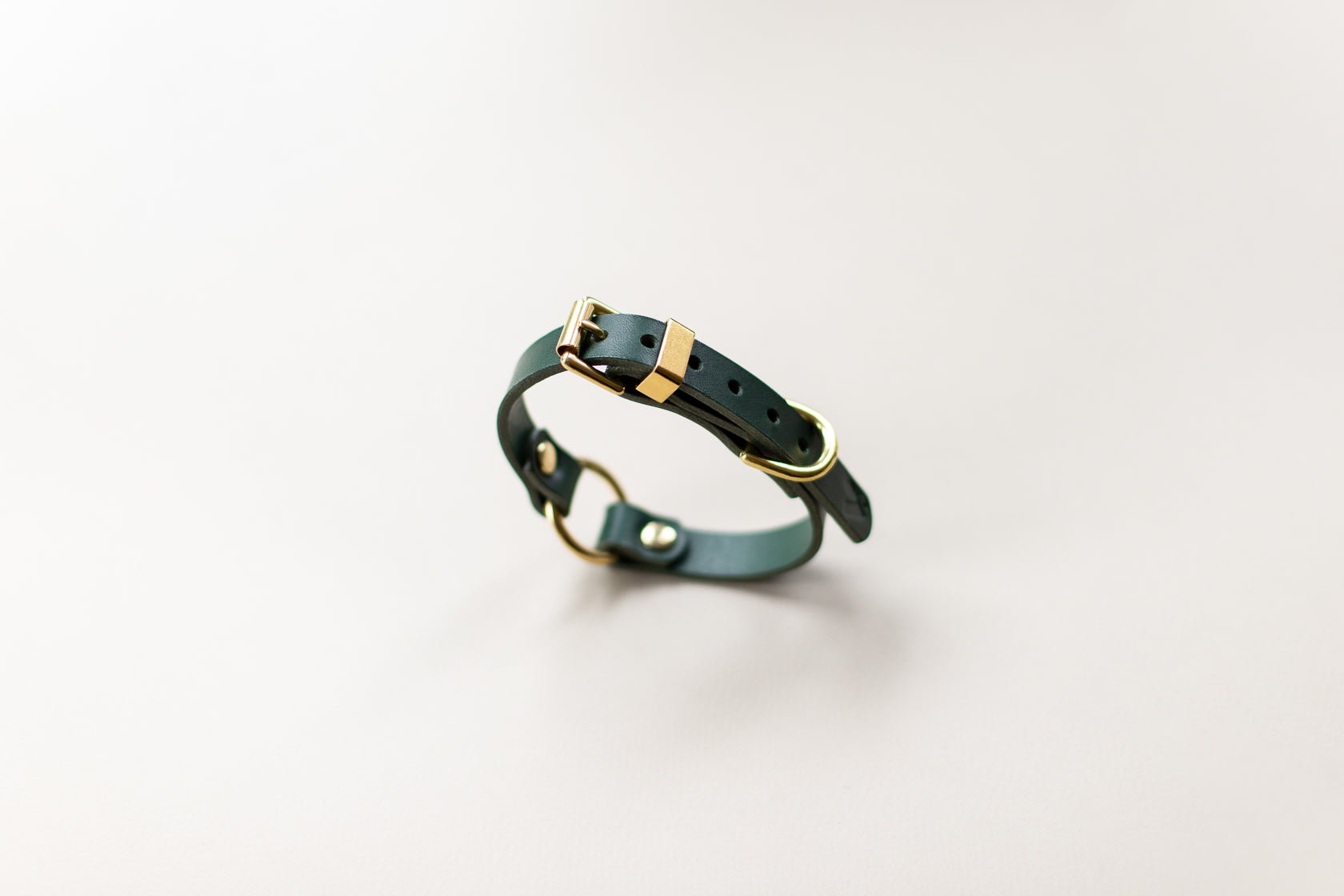 O Ring Leather Collar