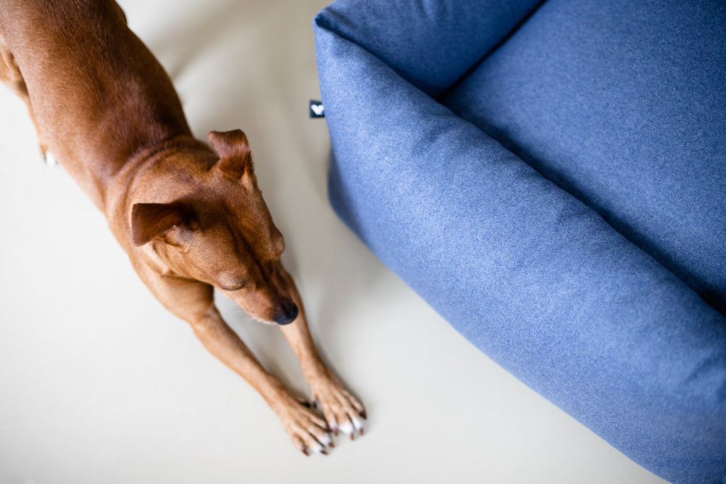 Fort Bolster Bed for Dogs