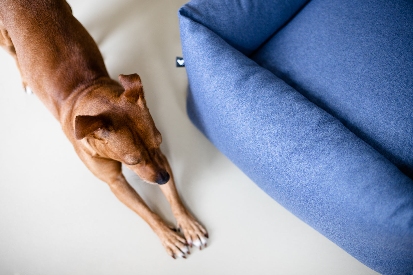 Fort Bolster Bed for Dogs