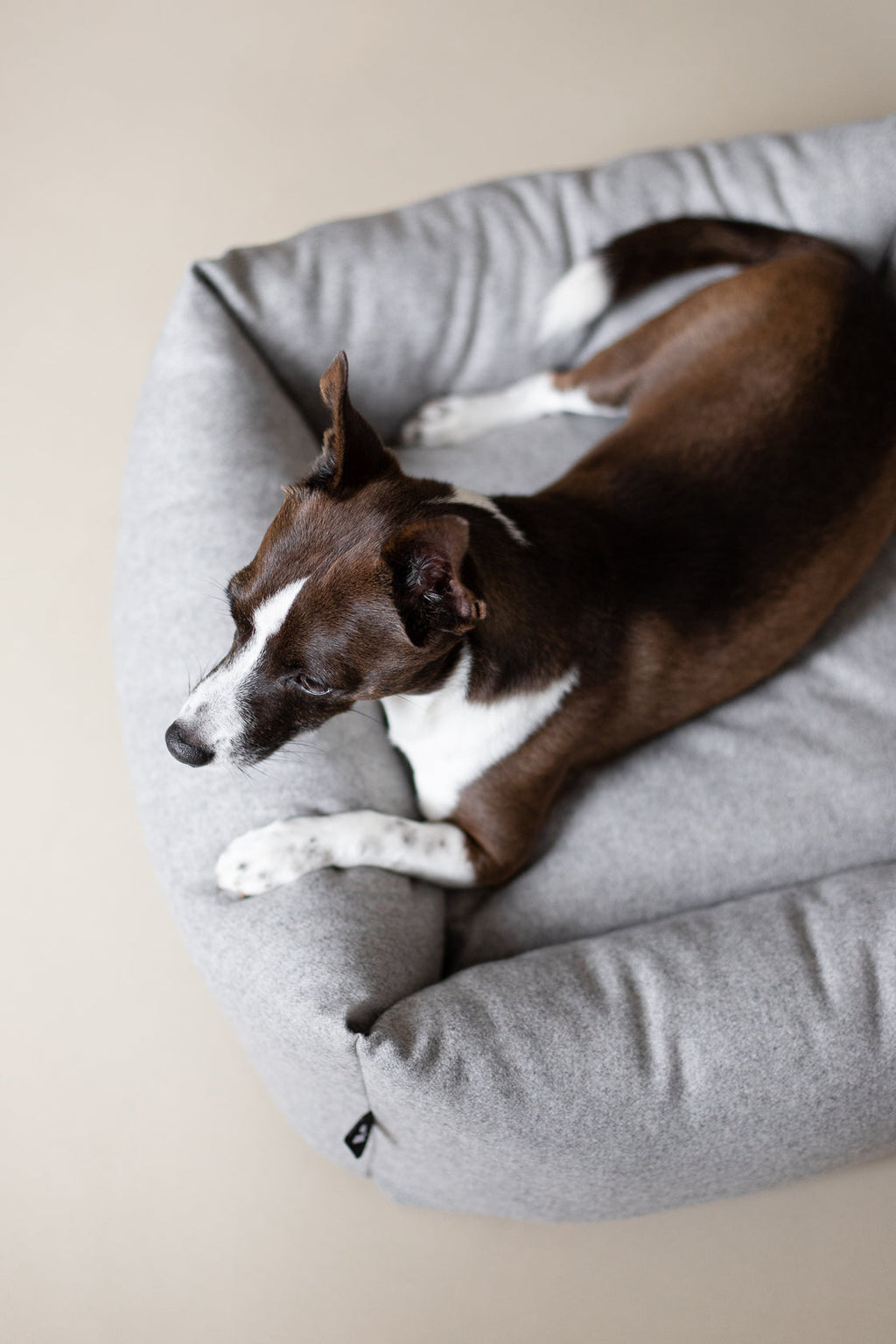 Fort Bolster Bed for Dogs
