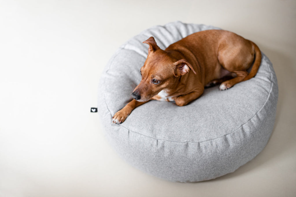 O Round Floor Cushion for Dogs