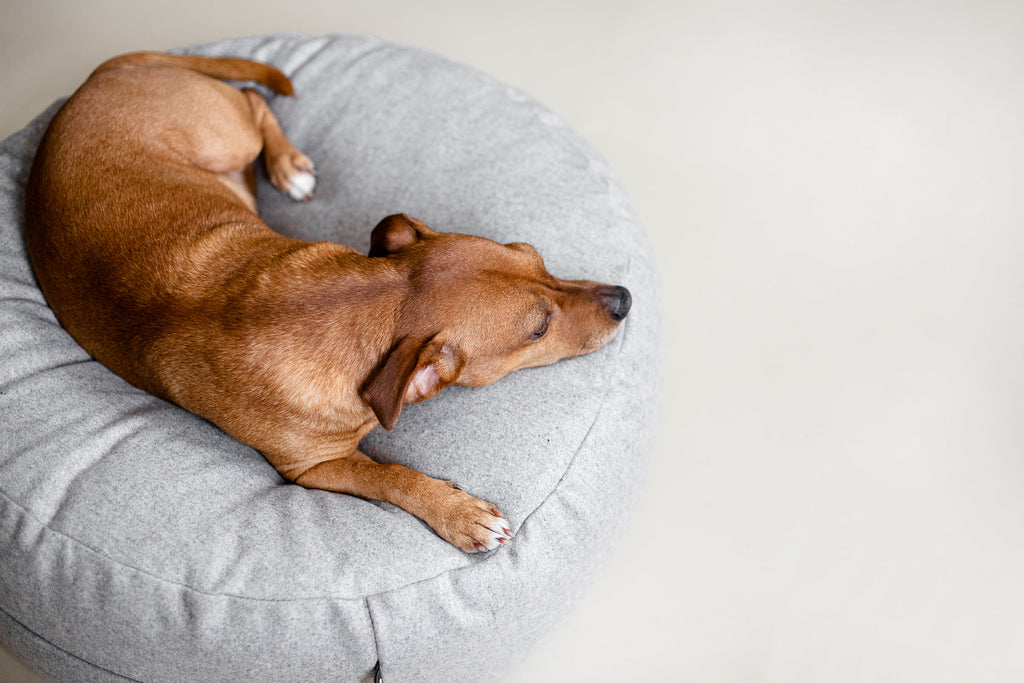 O Round Floor Cushion for Dogs