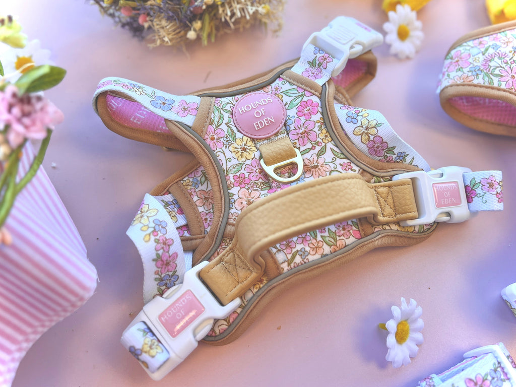 Pastel Petals Dog Harness XS to XL