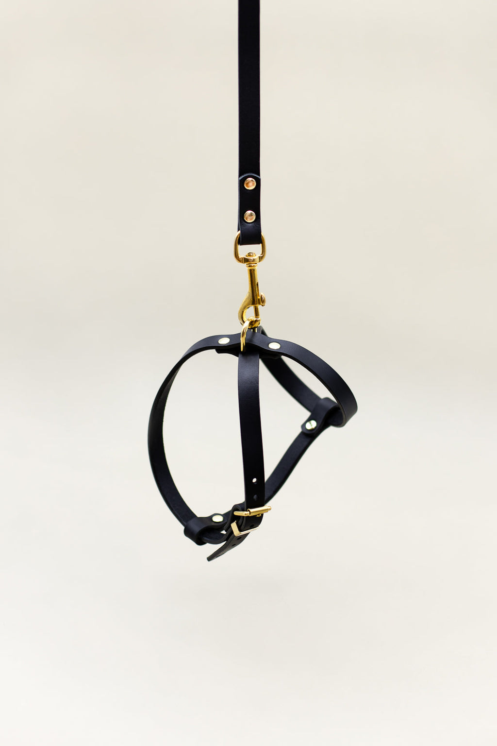 Cross Leather Dog Harness