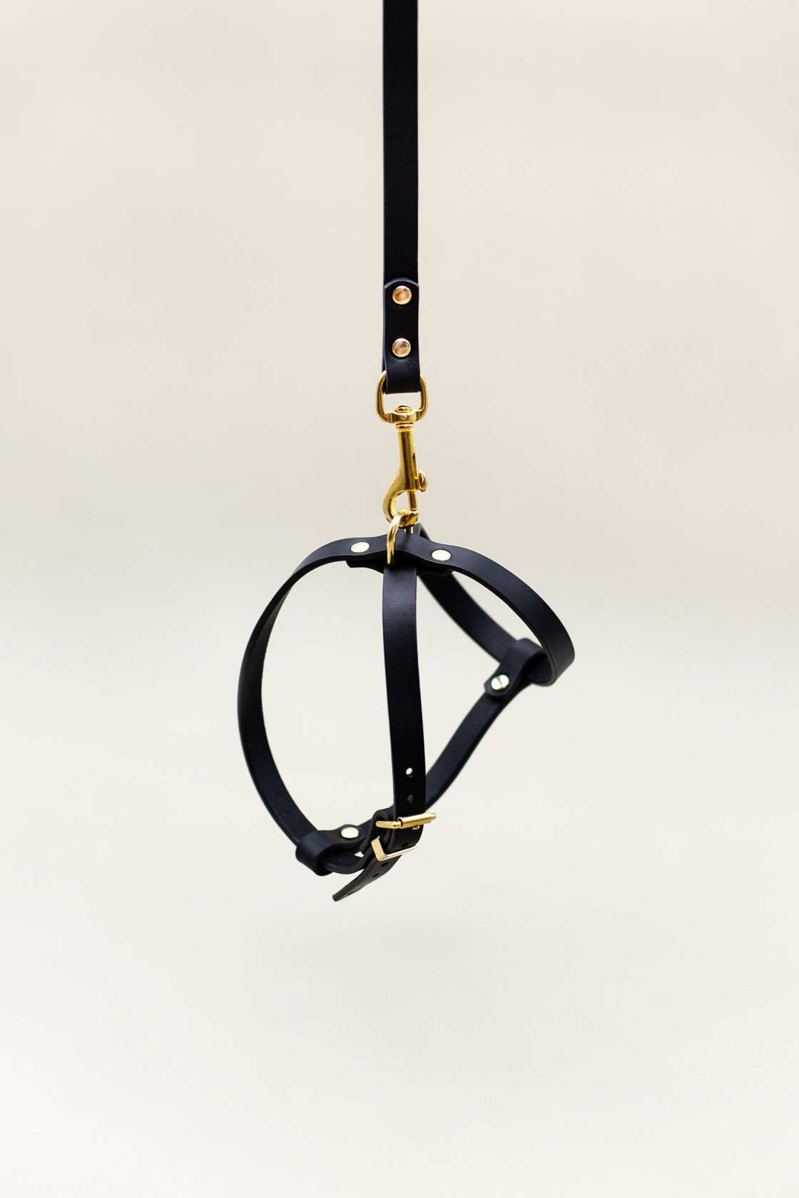 Cross Leather Dog Harness