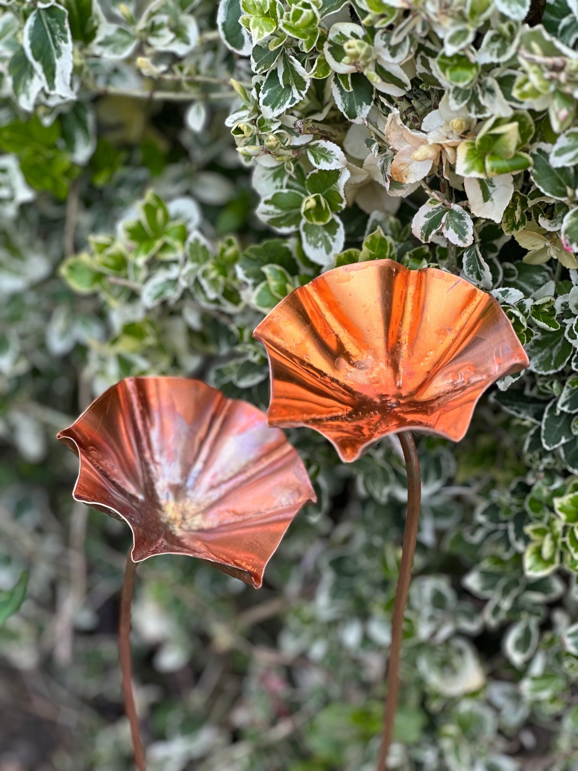 Set of 3 Copper Bee Drinkers