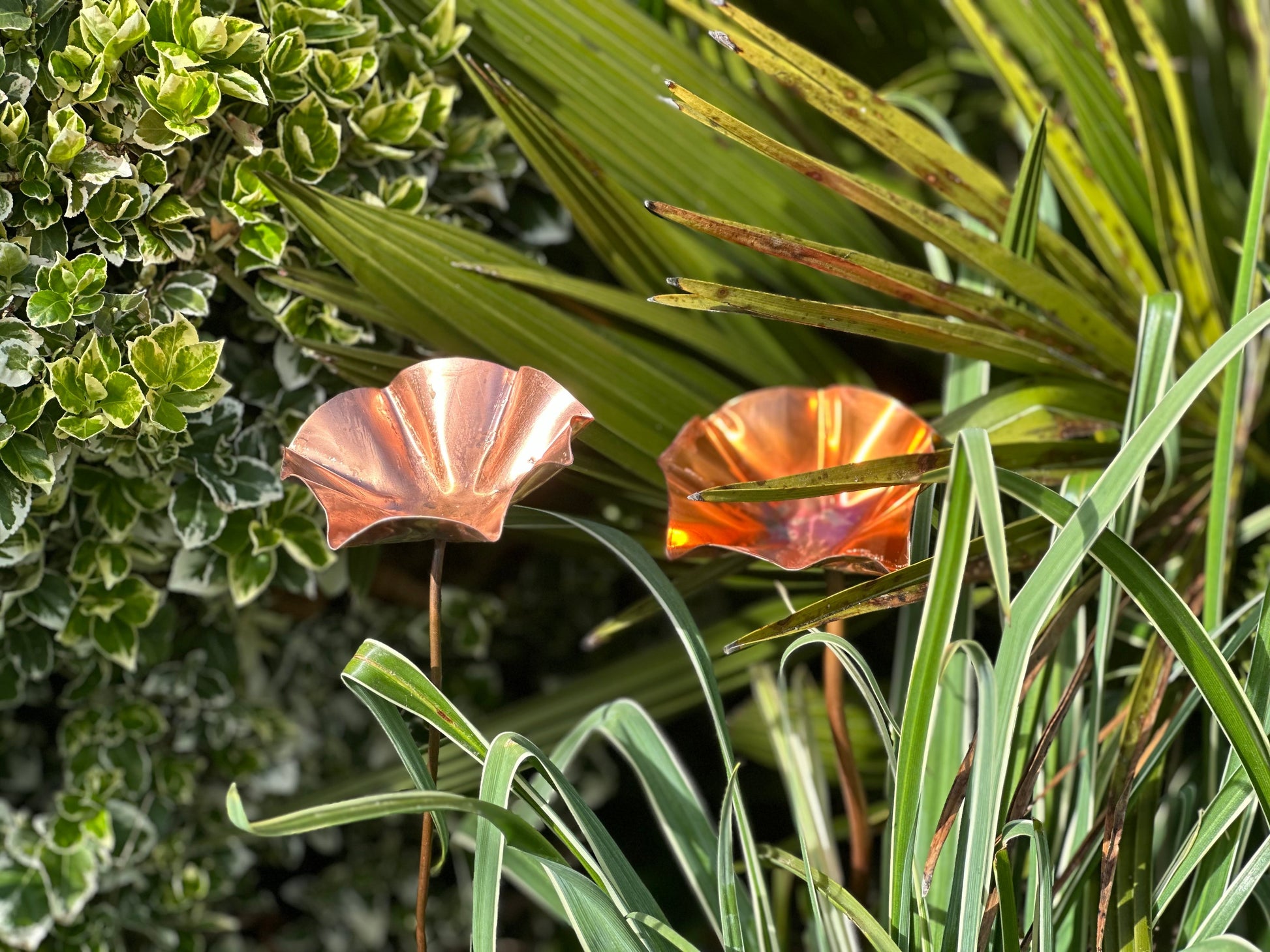 Set of 3 Copper Bee Drinkers