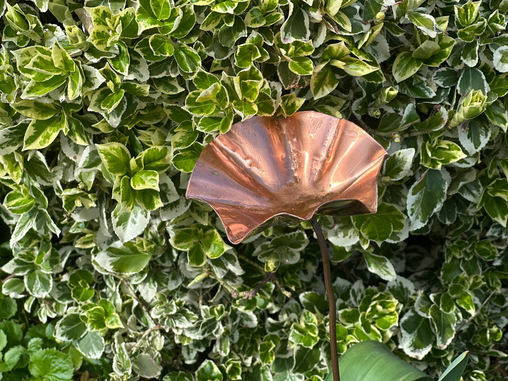 Set of 3 Copper Bee Drinkers