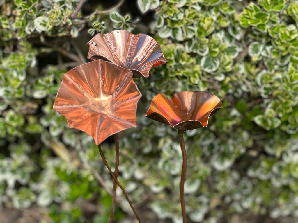 Set of 3 Copper Bee Drinkers