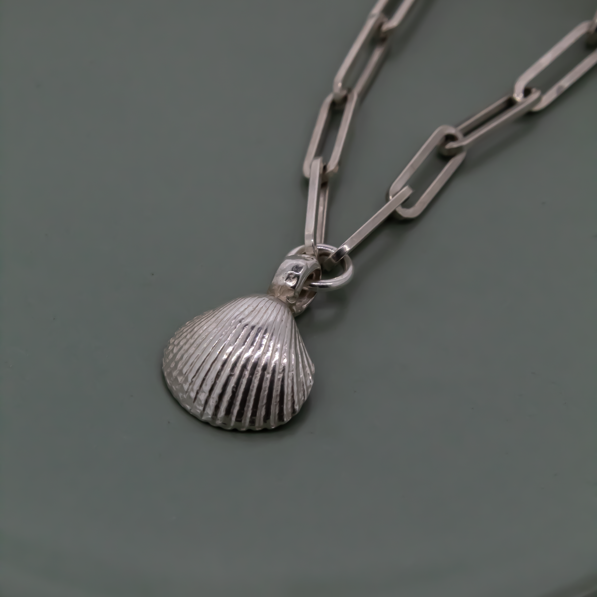 Sterling Silver Shell Trace Chain Necklace
