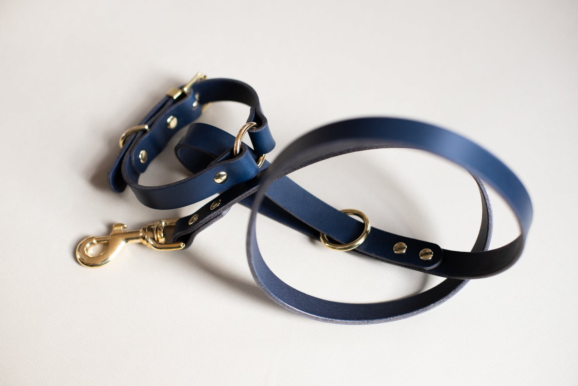 O Ring Leather Collar
