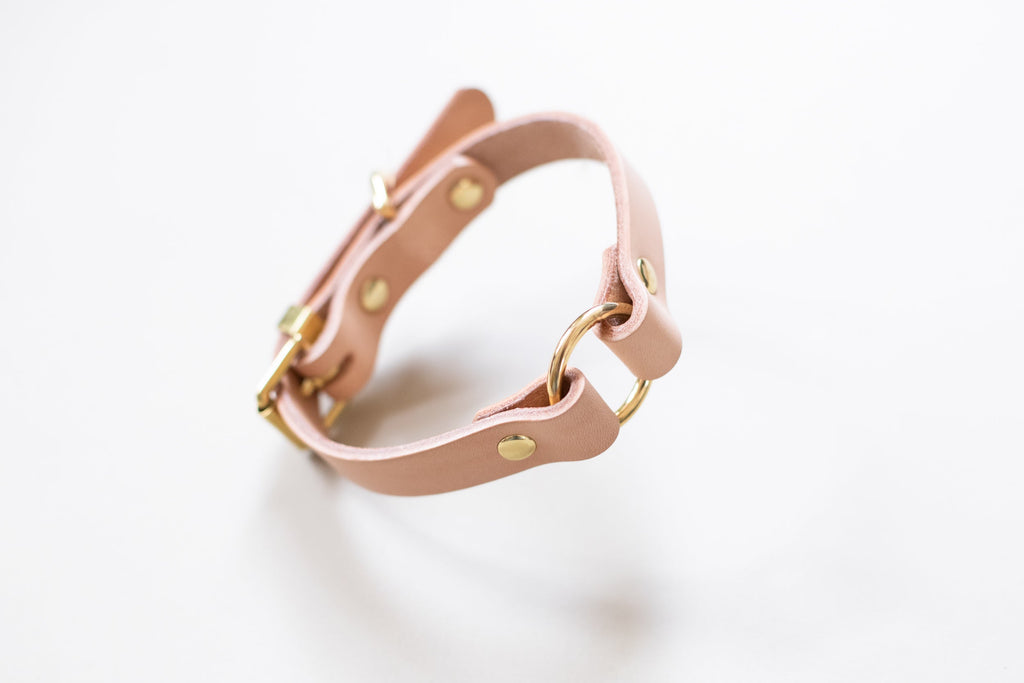 O Ring Leather Collar