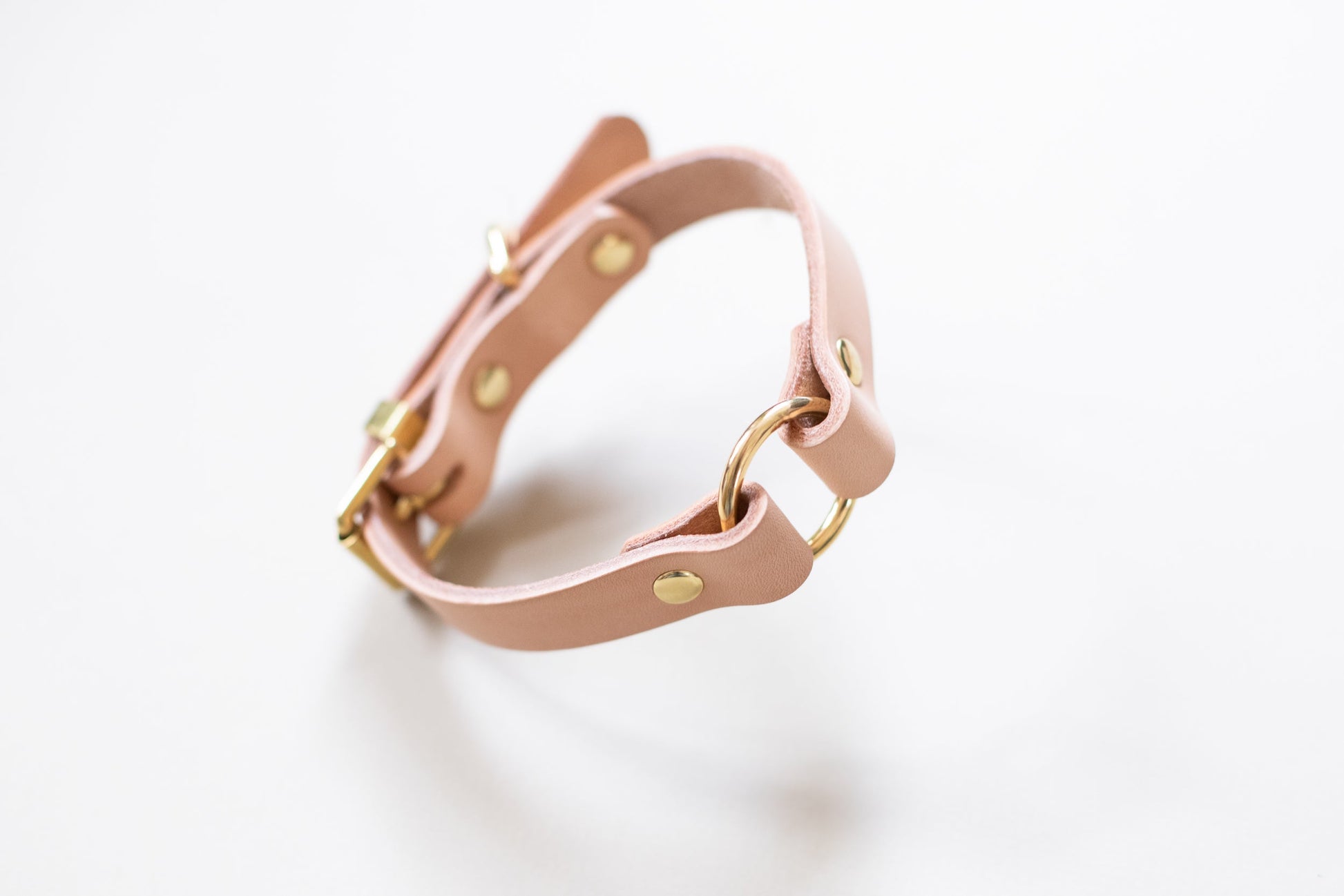 O Ring Leather Collar