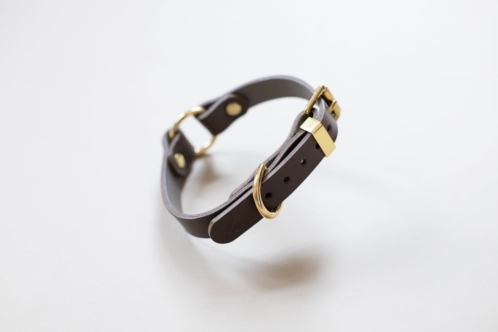 O Ring Leather Collar