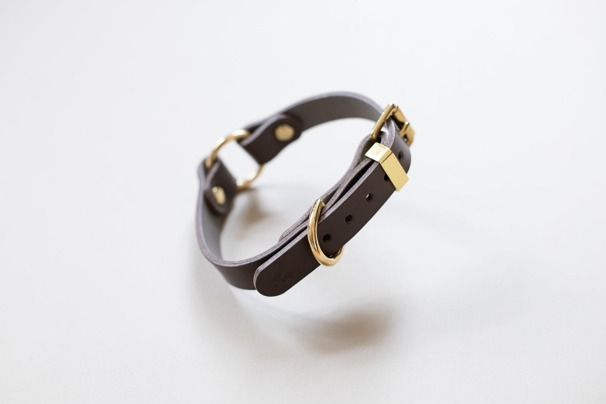 O Ring Leather Collar