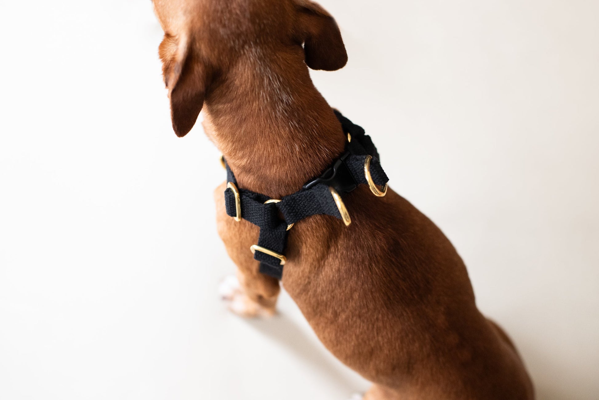 Cotton Step In Dog Harness