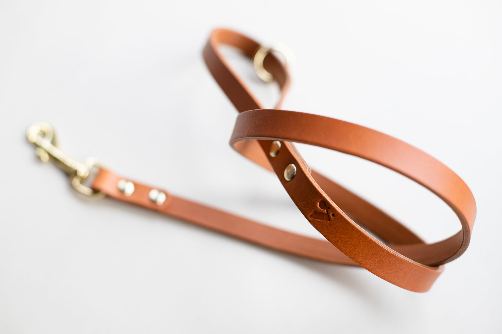 Classic Leather Dog Lead