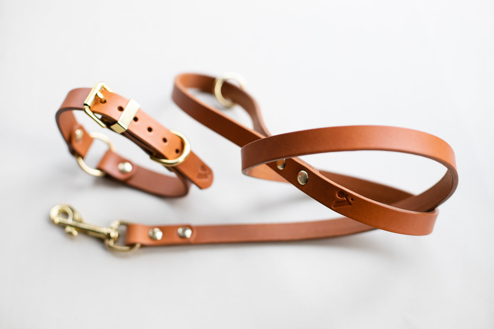 O Ring Leather Collar