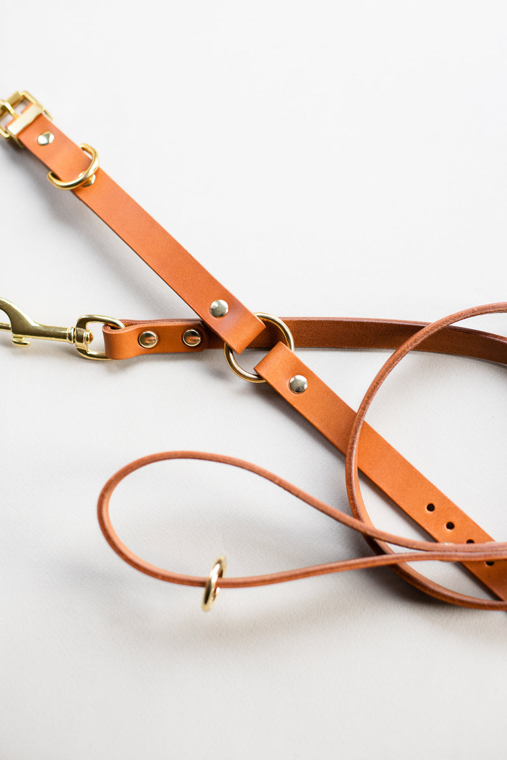 O Ring Leather Collar