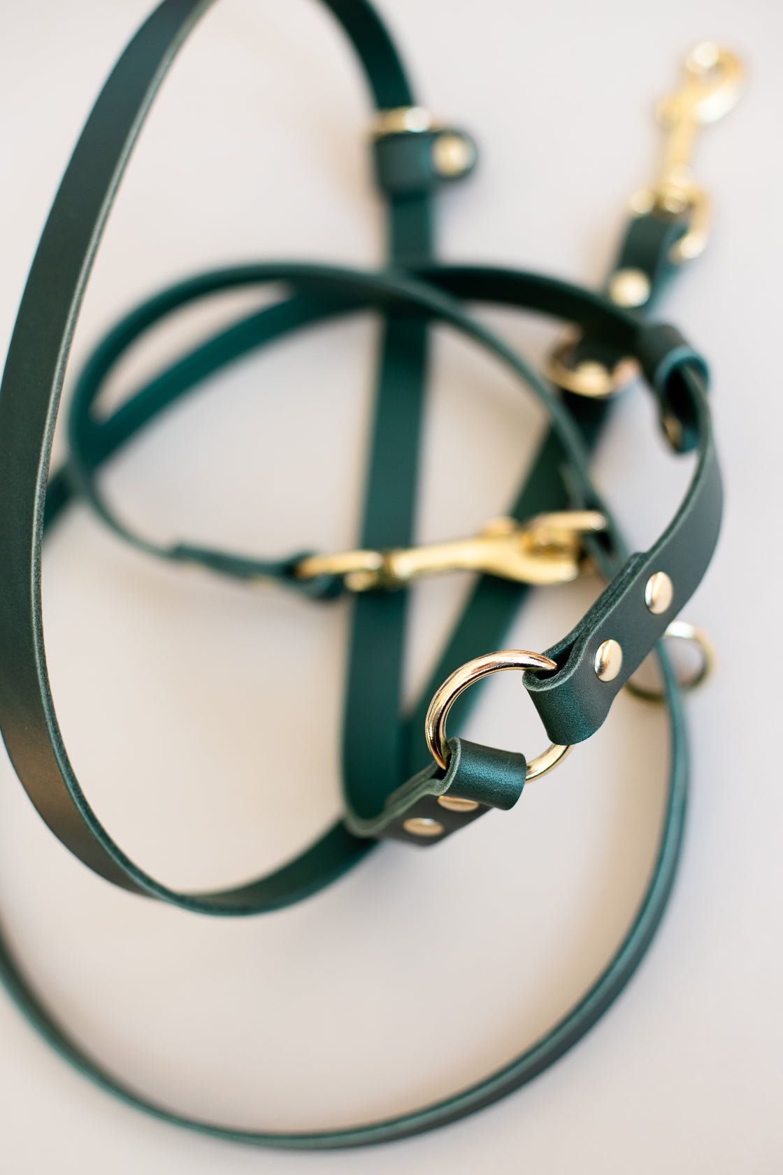 Long Leather Multi Lead for Dogs