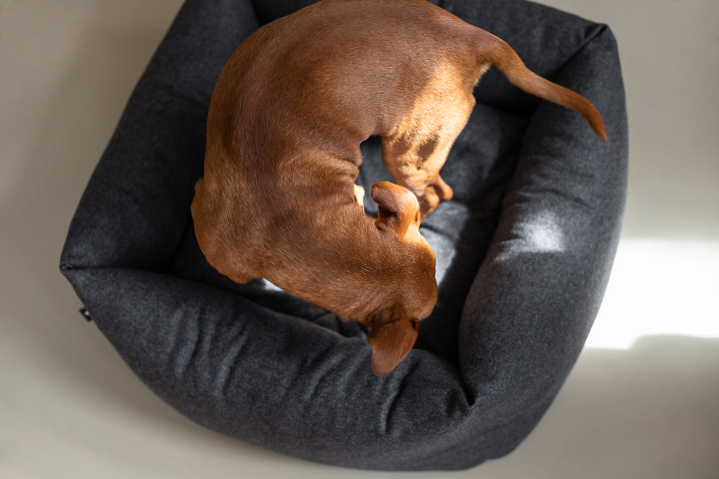 Fort Bolster Bed for Dogs