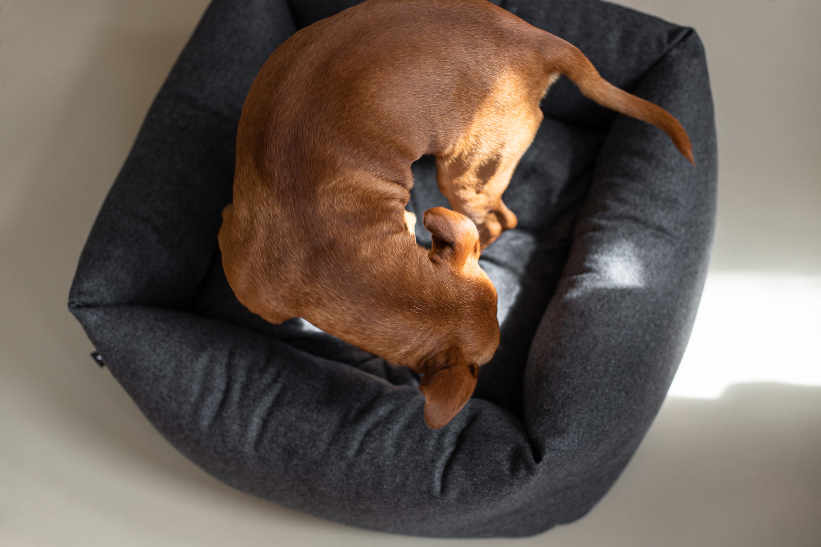 Fort Bolster Bed for Dogs