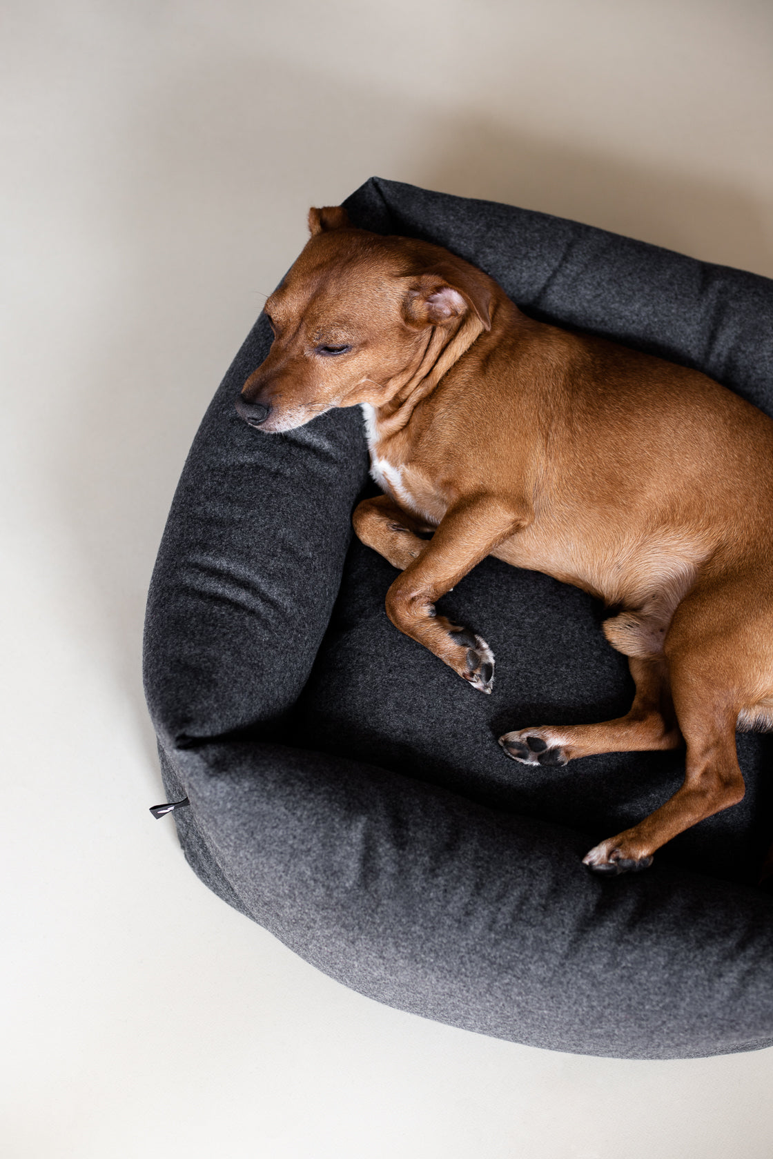 Fort Bolster Bed for Dogs