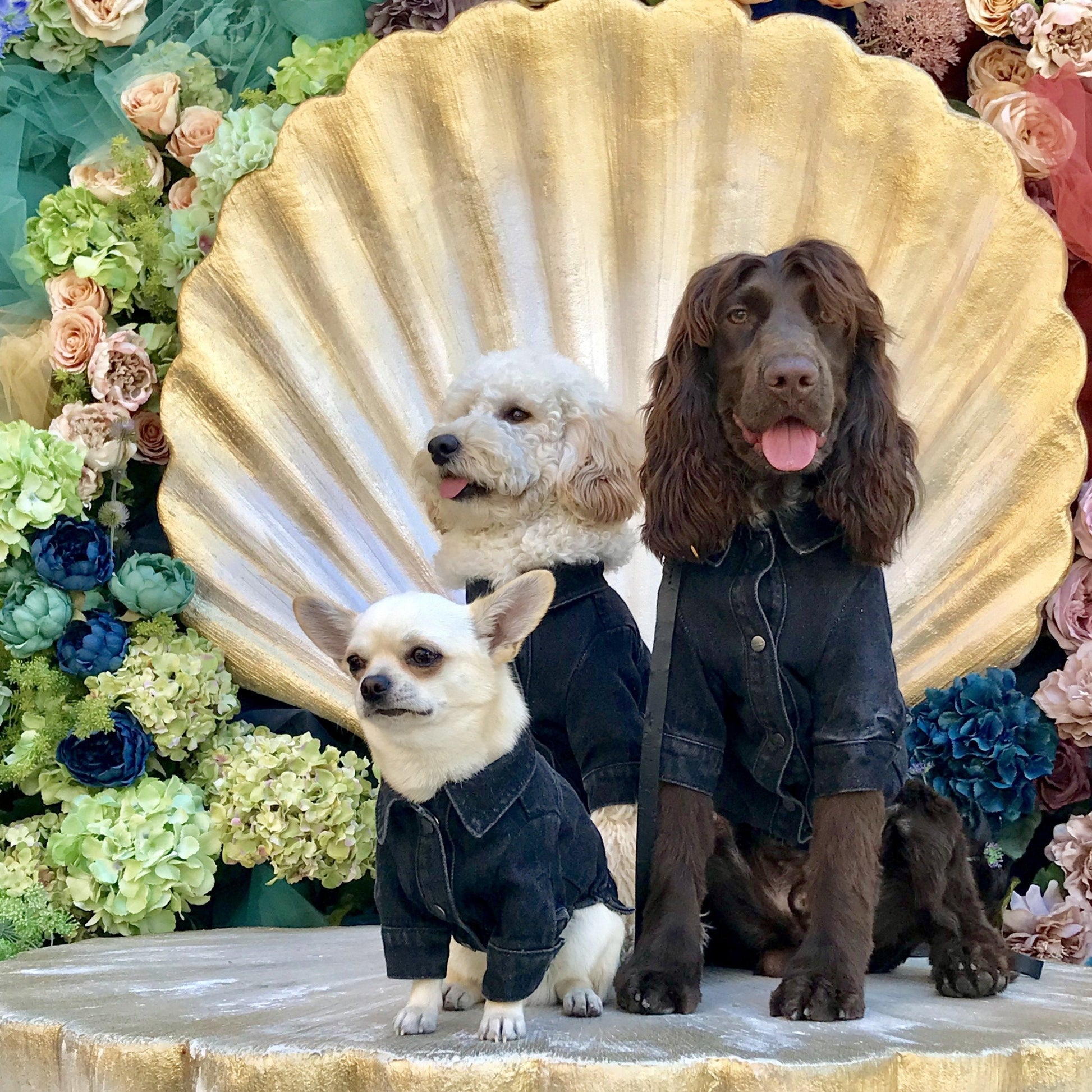 Classic Denim Jacket