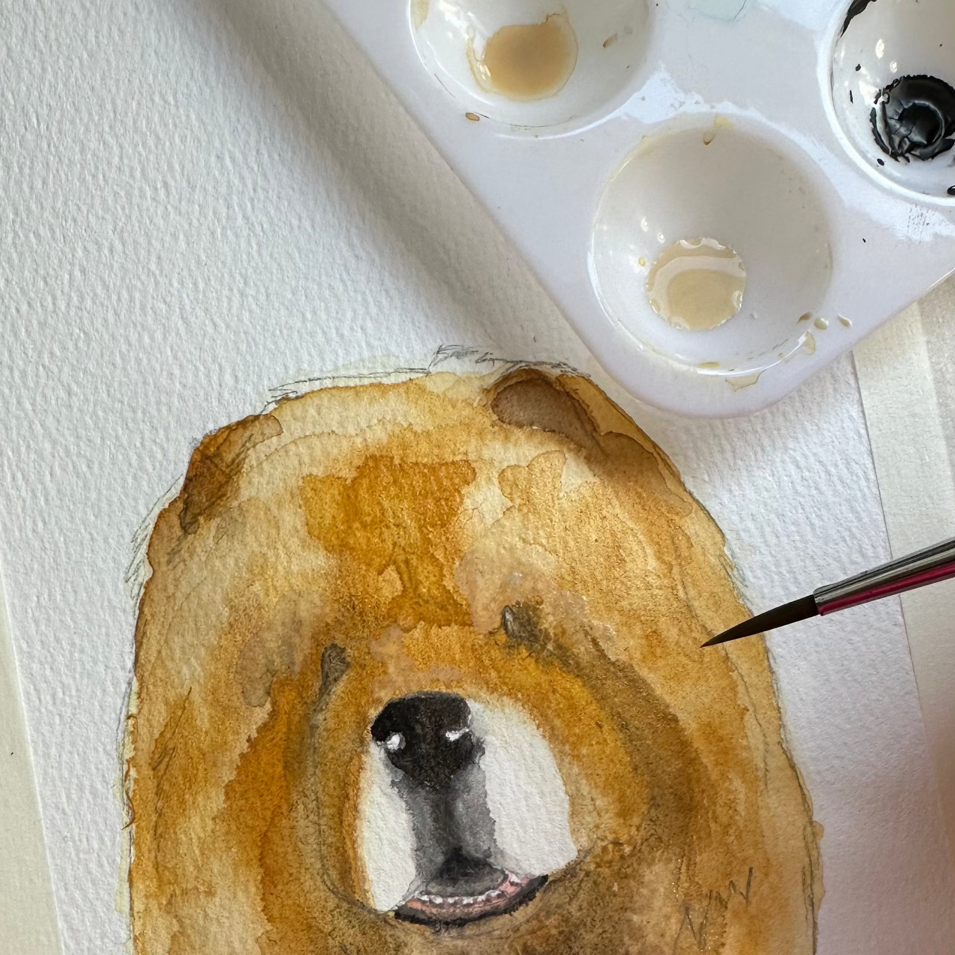 Cream Chow Chow Greeting Card Send Some Floofy Love