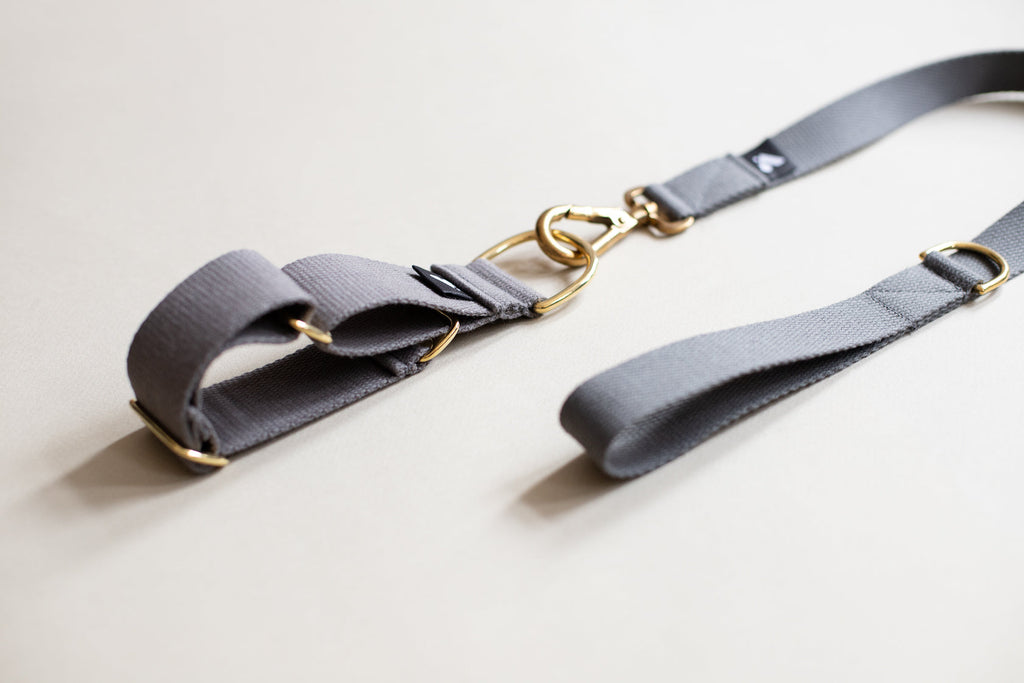 Cotton Martingale Collar for Dogs