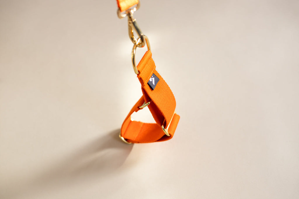 Cotton Martingale Collar for Dogs